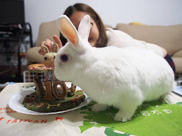 17862829_1462591013772684_7612928766715577631_n.jpg 17862829_1462591013772684_7612928766715577631_n.jpg