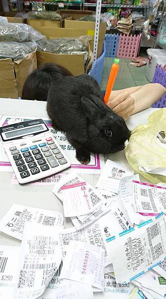 25暖暖.jpg 25暖暖.jpg