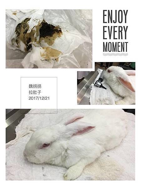 魏拐拐(阿莓)(37).jpg 魏拐拐(阿莓)(37).jpg