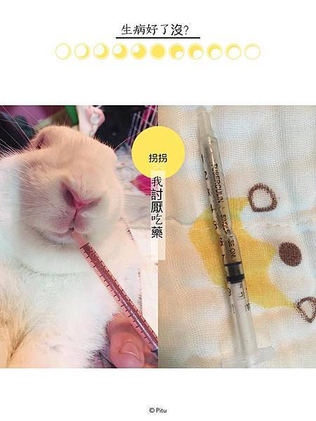 魏拐拐(阿莓)(8).jpg 魏拐拐(阿莓)(8).jpg