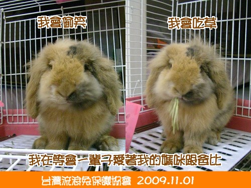 阿垂.jpg 阿垂.jpg