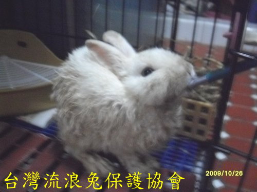 弟弟.jpg 弟弟.jpg