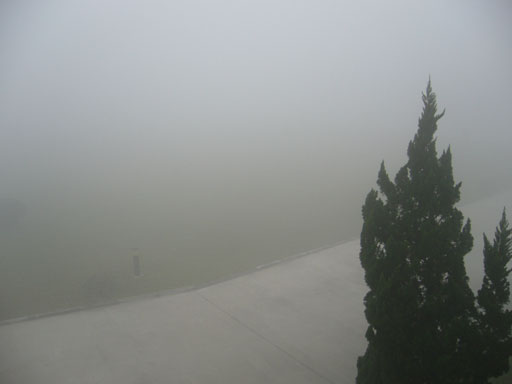 970108早晨的濃霧I.jpg