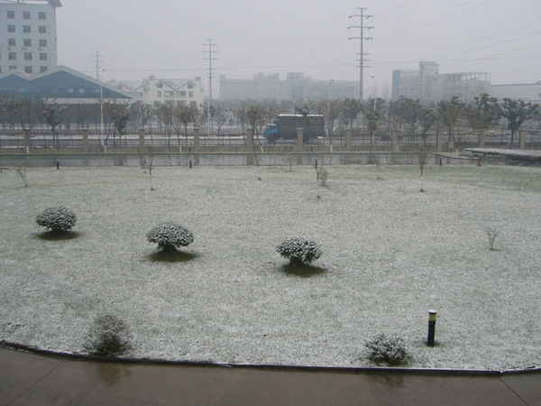 20080115早晨8點的飄雪1