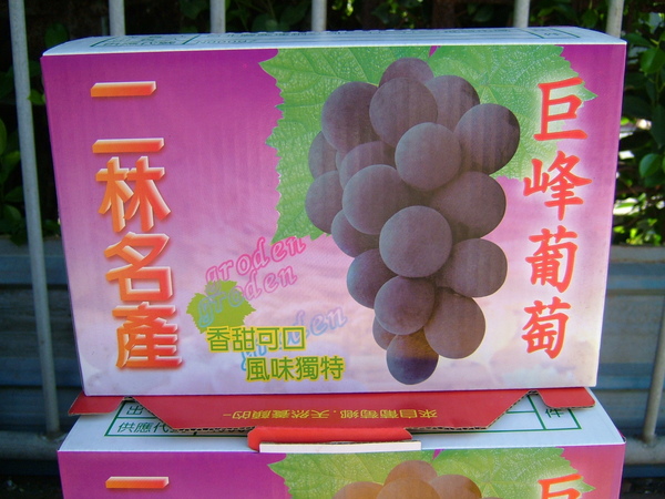 葡萄園--17.JPG 葡萄園--17.JPG