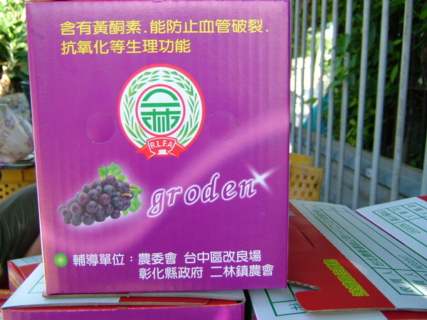 葡萄園--16.JPG 葡萄園--16.JPG
