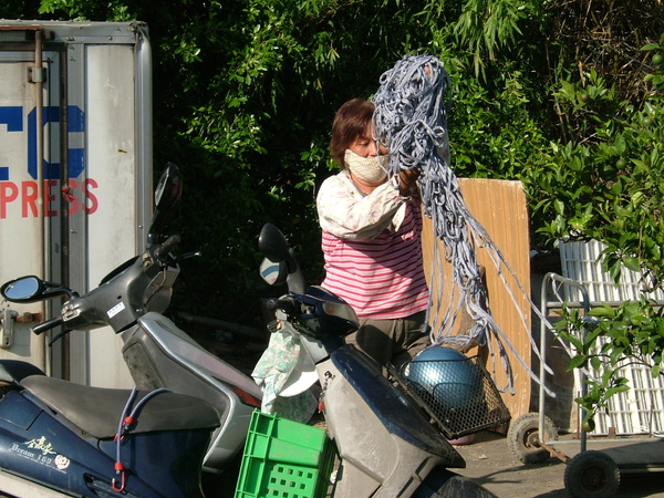 葡萄園--11.JPG 葡萄園--11.JPG