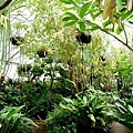 Glasshouse for tropical plants