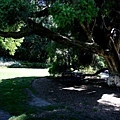 Royal Botanic Gardens