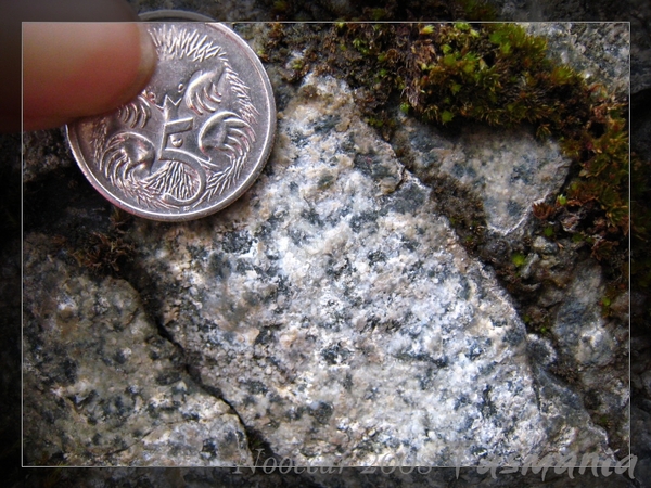 Coarse-grained dolerite. (My target rock)