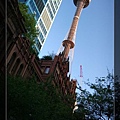 Sydney Tower