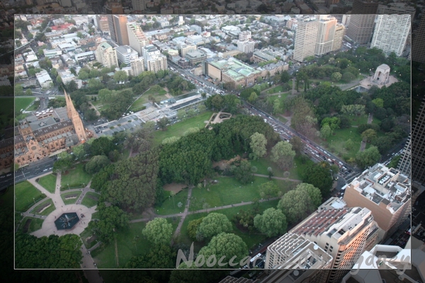 Hyde Park (View from the top of the Tower)