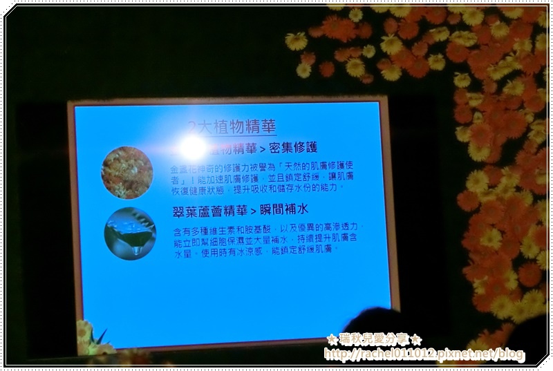 20111-11.JPG