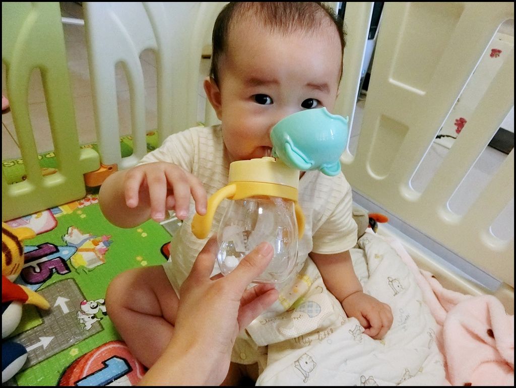 BabyTalk - Tritan 熊熊两用吸管水杯%26;可爱动物 304不锈钢两用吸管水杯13.JPG