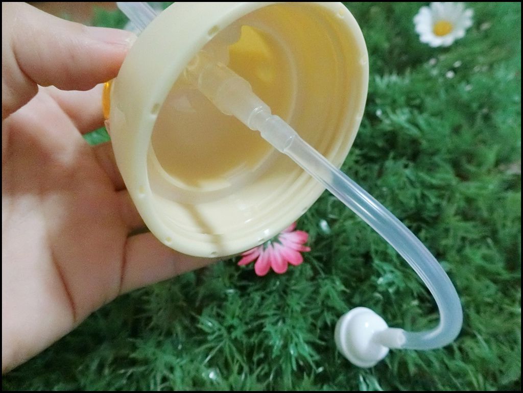 BabyTalk - Tritan 熊熊两用吸管水杯%26;可爱动物 304不锈钢两用吸管水杯33-0.JPG