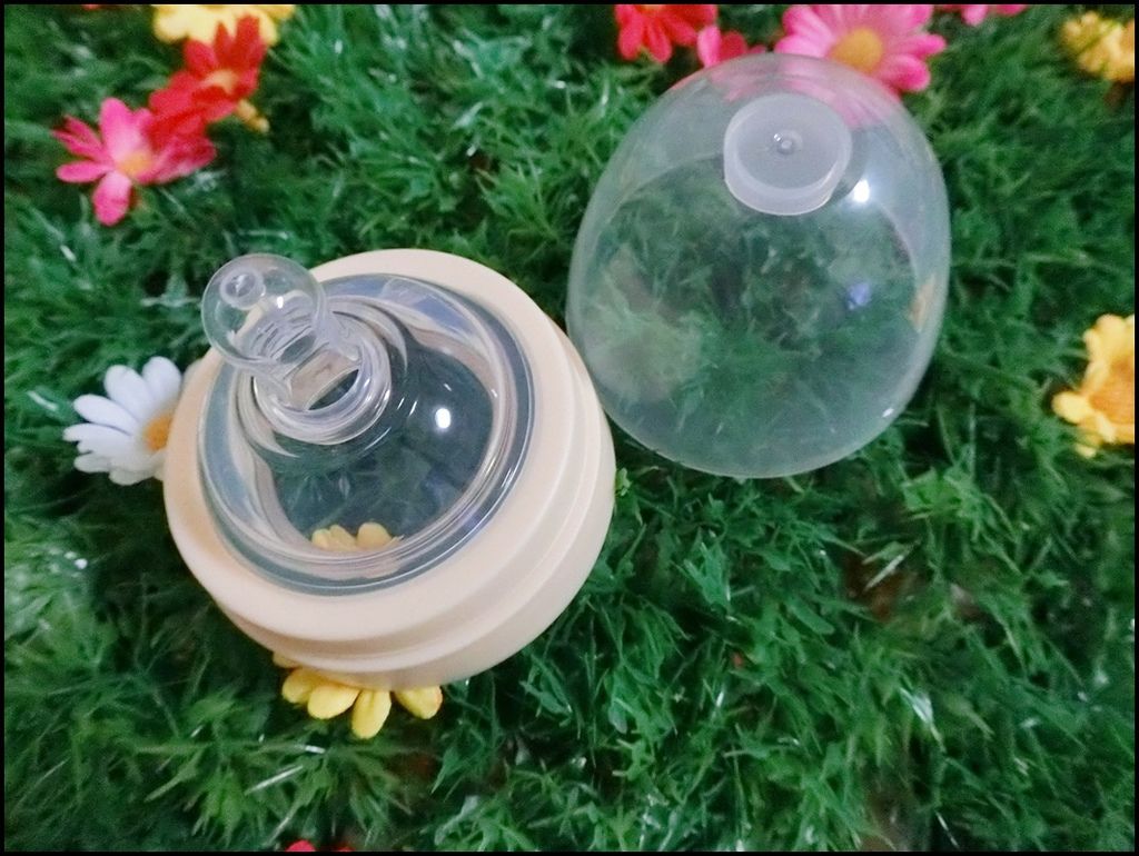 BabyTalk - Tritan 熊熊两用吸管水杯%26;可爱动物 304不锈钢两用吸管水杯33-1.JPG
