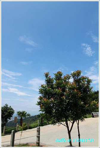 IMG_0108 IMG_0108
