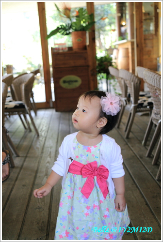 IMG_1805 IMG_1805