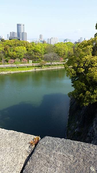 20160415_085055.jpg