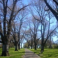 flagstaff garden-1.JPG