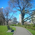 flagstaff garden-2.JPG