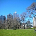 flagstaff garden-3.JPG