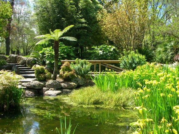 Fitzroy garden