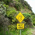 Koala sign.JPG