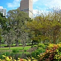 treasury garden.JPG