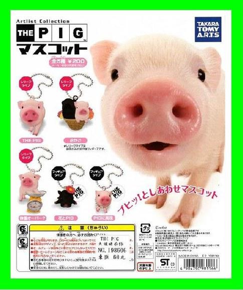 the pig Logo the pig Logo