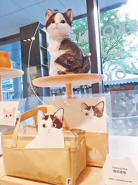 20200905_154939_mh1599384358516.jpg 20200905_154939_mh1599384358516.jpg