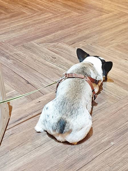 20201002_193944_mh1601708814237.jpg 20201002_193944_mh1601708814237.jpg