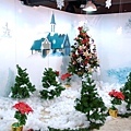DSC_2080.JPG