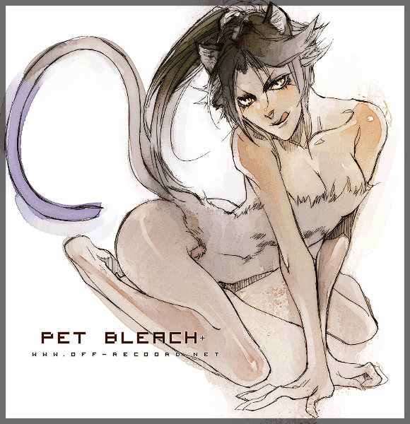 BLEACH 200609 貓夜一.gif