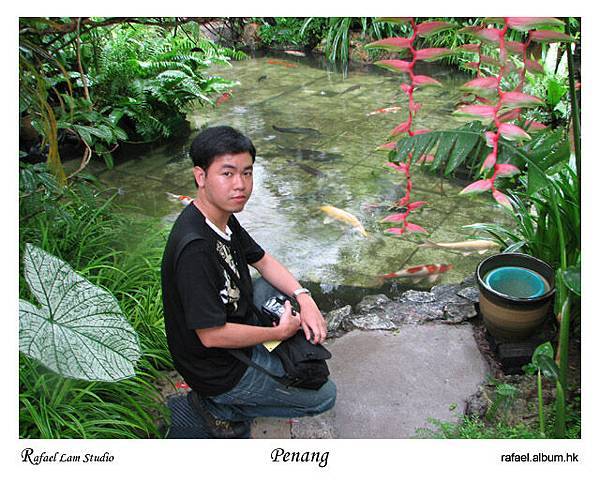 51. Penang Butterfly Farm  (by tiger)