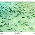 69. Langkawi Coral Island