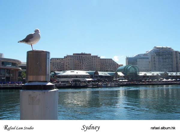 3. Darling Harbour