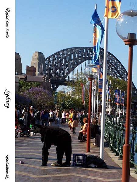 83. Circular Quay