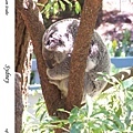 203.  Taronga Zoo