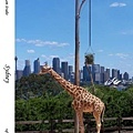 232. Taronga Zoo