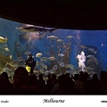 120. Melbourne Aquarium