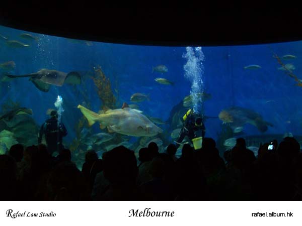 124. Melbourne Aquarium