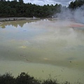 31.07.2007 Rotorua 11 Wai-O-Tapu.JPG