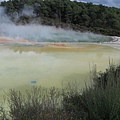 31.07.2007 Rotorua 12 Wai-O-Tapu.JPG