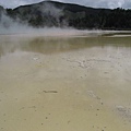 31.07.2007 Rotorua 21 Wai-O-Tapu.JPG