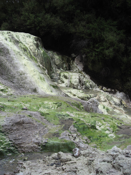 31.07.2007 Rotorua 28 Wai-O-Tapu.jpg