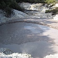 31.07.2007 Rotorua 3 Wai-O-Tapu.jpg