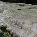 31.07.2007 Rotorua 30 Wai-O-Tapu.JPG