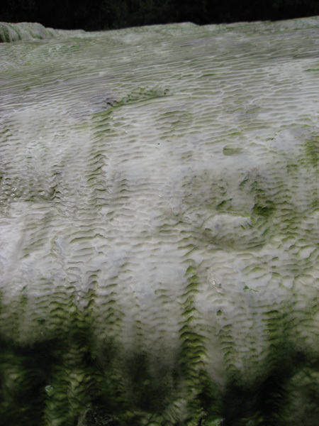 31.07.2007 Rotorua 31 Wai-O-Tapu.jpg