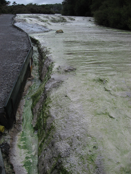 31.07.2007 Rotorua 33 Wai-O-Tapu.jpg